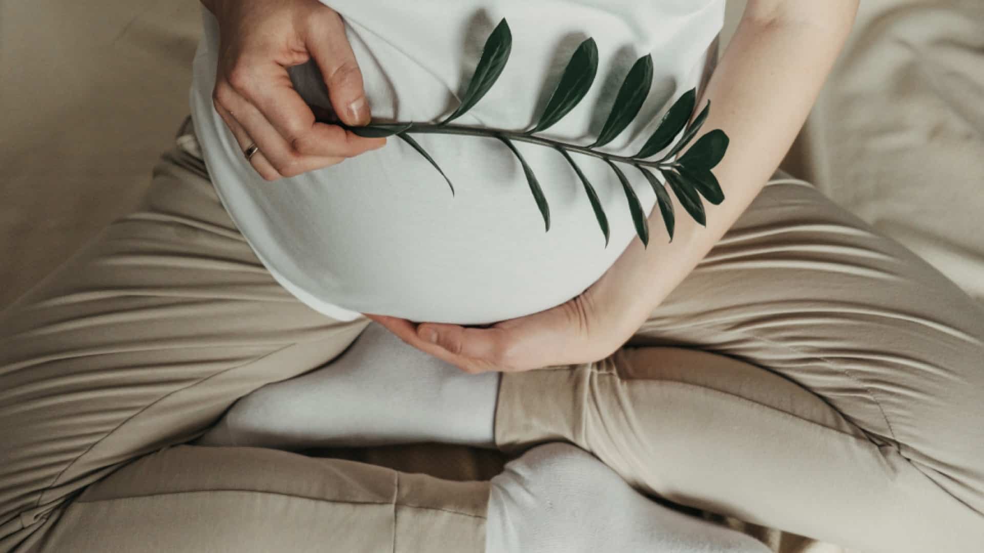 outreach ps living vine